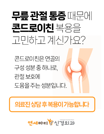 202506_콘드로이친.png