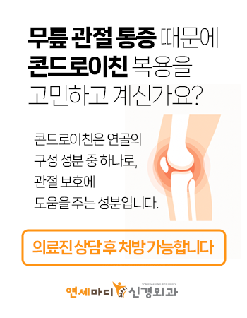 202506_콘드로이친.png